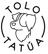 logo de tolo tatua